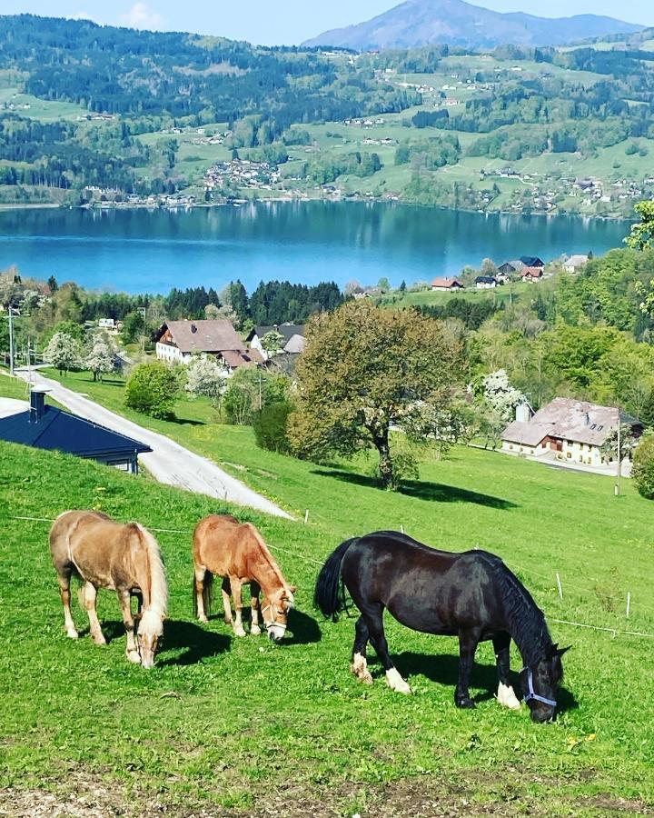 Feichtingerhof Villa Steinbach am Attersee Exterior photo